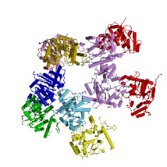 Example Structure of glycogenin glucosyltransferase EC#: 2.4.1.186