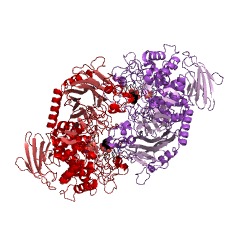 Example Structure of cellobiose phosphorylase EC#: 2.4.1.20