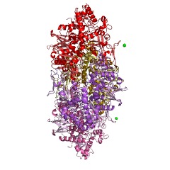 Example Structure of 1,3-beta-galactosyl-N-acetylhexosamine phosphorylase EC#: 2.4.1.211