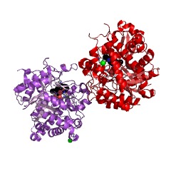 Example Structure of vomilenine glucosyltransferase EC#: 2.4.1.219
