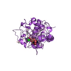 Example Structure of peptide-O-fucosyltransferase EC#: 2.4.1.221