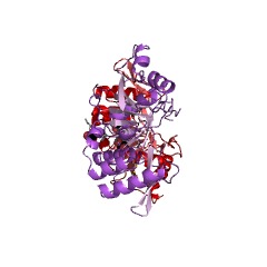 Example Structure of glucuronosyl-galactosyl-proteoglycan 4-alpha-N-acetylglucosaminyltransferase EC#: 2.4.1.223