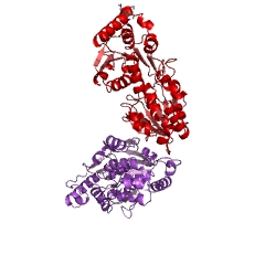 Example Structure of undecaprenyldiphospho-muramoylpentapeptide beta-N-acetylglucosaminyltransferase EC#: 2.4.1.227