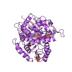 Example Structure of NDP-glucose-starch glucosyltransferase EC#: 2.4.1.242