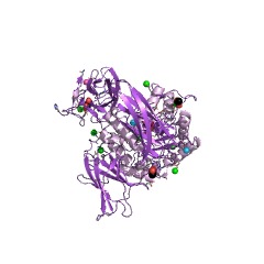 Example Structure of cycloisomaltooligosaccharide glucanotransferase EC#: 2.4.1.248