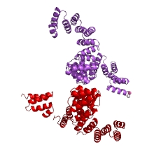 Example Structure of protein O-GlcNAc transferase EC#: 2.4.1.255