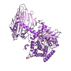 Example Structure of N,N'-diacetylchitobiose phosphorylase EC#: 2.4.1.280