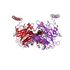 Example Structure of 4-O-beta-D-mannosyl-D-glucose phosphorylase EC#: 2.4.1.281