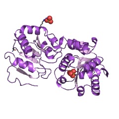 Example Structure of UDP-GalNAc:alpha-D-GalNAc-diphosphoundecaprenol alpha-1,3-N-acetylgalactosaminyltransferase EC#: 2.4.1.306