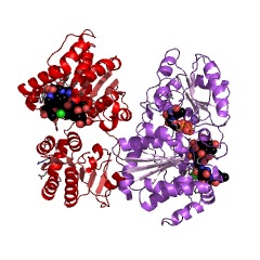 Example Structure of chloroorienticin B synthase EC#: 2.4.1.311
