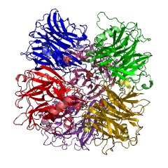 Example Structure of beta-1,4-mannooligosaccharide phosphorylase EC#: 2.4.1.319