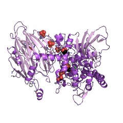 Example Structure of cellobionic acid phosphorylase EC#: 2.4.1.321