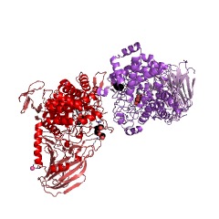 Example Structure of 1,2-alpha-glucosylglycerol phosphorylase EC#: 2.4.1.332