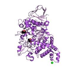 Example Structure of amylosucrase EC#: 2.4.1.4