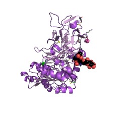 Example Structure of polypeptide N-acetylgalactosaminyltransferase EC#: 2.4.1.41