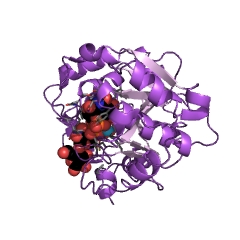 Example Structure of lipopolysaccharide 3-alpha-galactosyltransferase EC#: 2.4.1.44