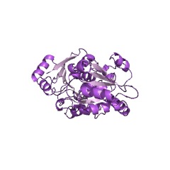 Example Structure of monogalactosyldiacylglycerol synthase EC#: 2.4.1.46