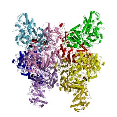 Example Structure of dextransucrase EC#: 2.4.1.5
