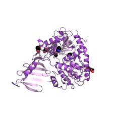 Example Structure of poly(glycerol-phosphate) alpha-glucosyltransferase EC#: 2.4.1.52