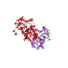 Example Structure of phosphatidylinositol alpha-mannosyltransferase EC#: 2.4.1.57