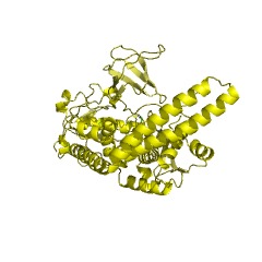 Example Structure of glycoprotein 6-alpha-L-fucosyltransferase EC#: 2.4.1.68