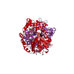Example Structure of sucrose phosphorylase EC#: 2.4.1.7
