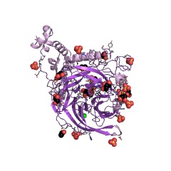 Example Structure of inulosucrase EC#: 2.4.1.9