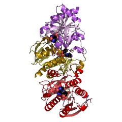 Example Structure of purine-nucleoside phosphorylase EC#: 2.4.2.1