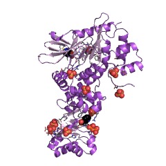 Example Structure of nicotinate phosphoribosyltransferase EC#: 2.4.2.11