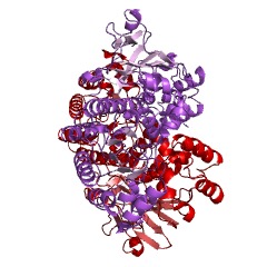 Example Structure of nicotinamide phosphoribosyltransferase EC#: 2.4.2.12