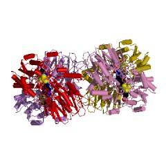 Example Structure of amidophosphoribosyltransferase EC#: 2.4.2.14