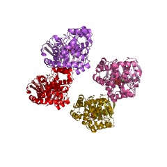 Example Structure of anthranilate phosphoribosyltransferase EC#: 2.4.2.18