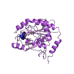 Example Structure of S-methyl-5'-thioadenosine phosphorylase EC#: 2.4.2.28