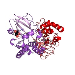 Example Structure of NAD+-protein-arginine ADP-ribosyltransferase EC#: 2.4.2.31
