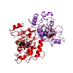 Example Structure of NAD+-diphthamide ADP-ribosyltransferase EC#: 2.4.2.36