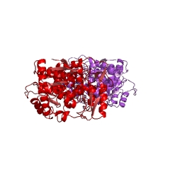 Example Structure of thymidine phosphorylase EC#: 2.4.2.4
