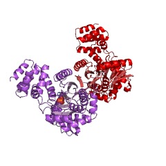 Example Structure of AMP phosphorylase EC#: 2.4.2.57