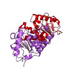 Example Structure of nucleoside deoxyribosyltransferase EC#: 2.4.2.6