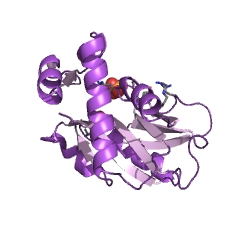 Example Structure of adenine phosphoribosyltransferase EC#: 2.4.2.7