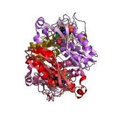 Example Structure of hypoxanthine phosphoribosyltransferase EC#: 2.4.2.8