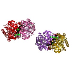 Example Structure of lipid IVA 3-deoxy-D-manno-octulosonic acid transferase EC#: 2.4.99.12