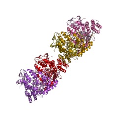 Example Structure of starch synthase (maltosyl-transferring) EC#: 2.4.99.16