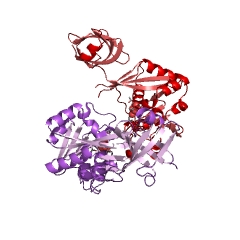 Example Structure of S-adenosylmethionine:tRNA ribosyltransferase-isomerase EC#: 2.4.99.17