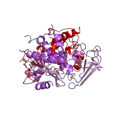 Example Structure of undecaprenyl-diphosphooligosaccharide-protein glycotransferase EC#: 2.4.99.19