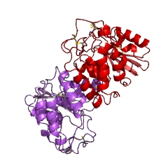 Example Structure of 2'-phospho-ADP-ribosyl cyclase/2'-phospho-cyclic-ADP-ribose transferase EC#: 2.4.99.20