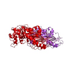 Example Structure of lactosylceramide alpha-2,3-sialyltransferase EC#: 2.4.99.9