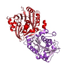 Example Structure of N1-aminopropylagmatine synthase EC#: 2.5.1.104