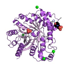 Example Structure of tryprostatin B synthase EC#: 2.5.1.106