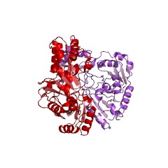 Example Structure of 2-(3-amino-3-carboxypropyl)histidine synthase EC#: 2.5.1.108