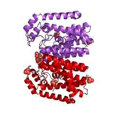 Example Structure of trans-octaprenyltranstransferase EC#: 2.5.1.11
